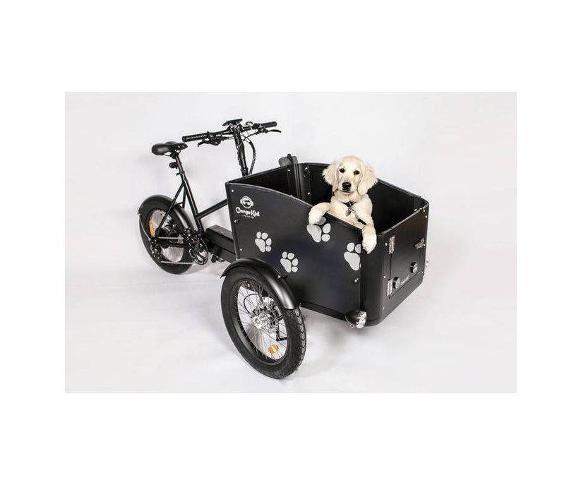 Cargokid Premium Doggie - Billede 4