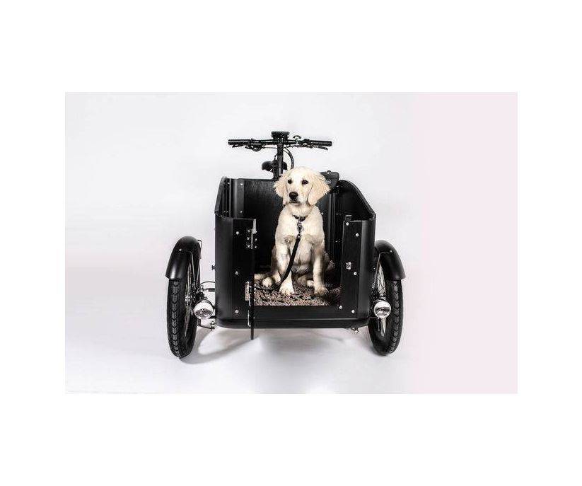 Cargokid Pro-Plus Doggie