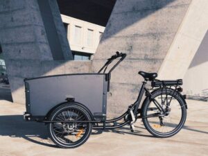 Cargokid  Premium Curve Master