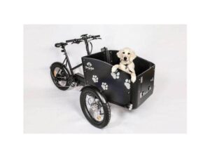 Cargokid  Economy Doggie