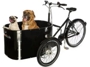 Nihola Dog
