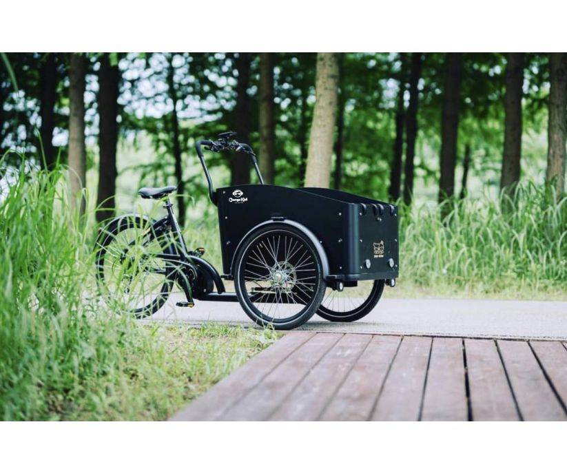 Cargokid Economy Urban Rider