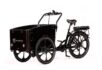 Cargobike Flex